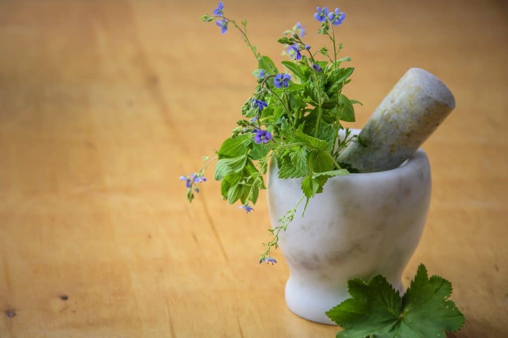 Learn about the Power of Natural Remedies.